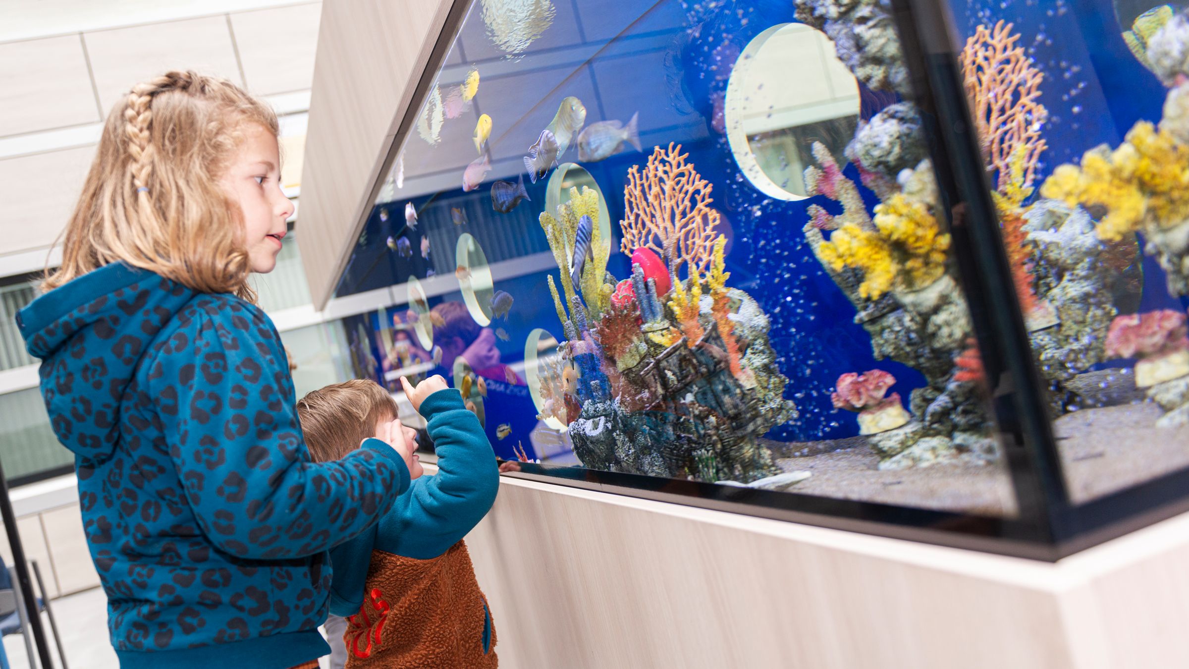 aquarium