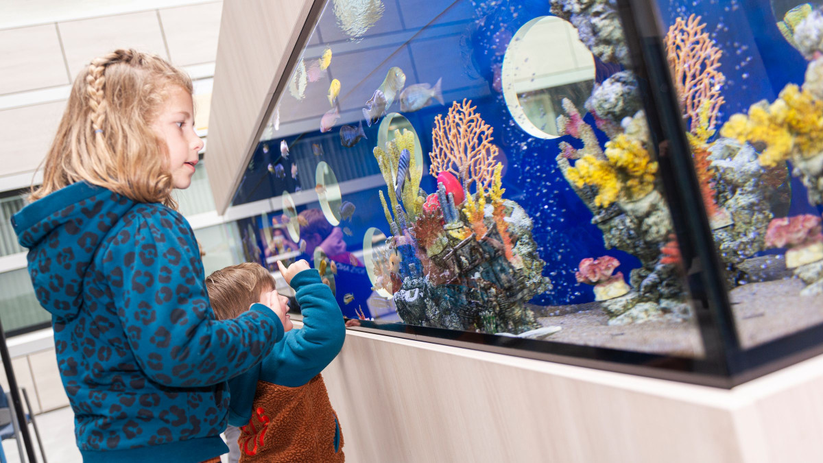 aquarium